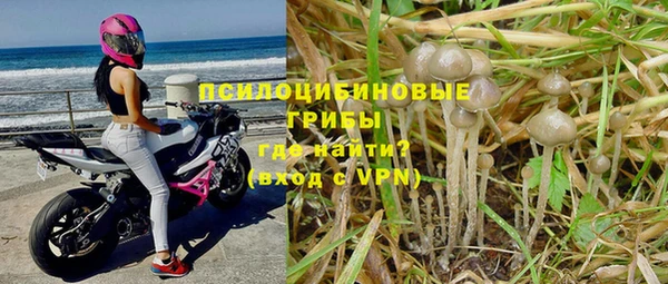 крисы Абдулино