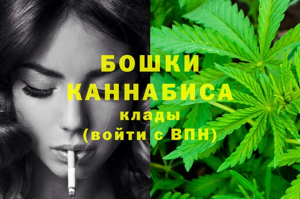 крисы Абдулино