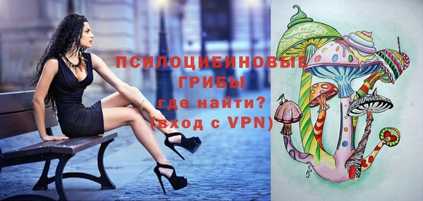 крисы Абдулино