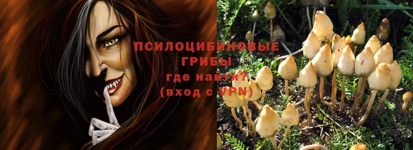 крисы Абдулино
