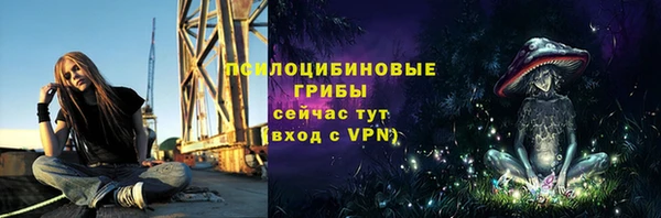 винт Осташков