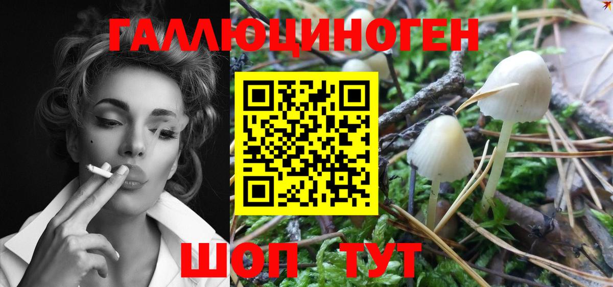 Галлюциногенные грибы GOLDEN TEACHER  Вход с VPN  Сарапул 